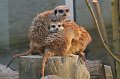 Zoo Straubing_057